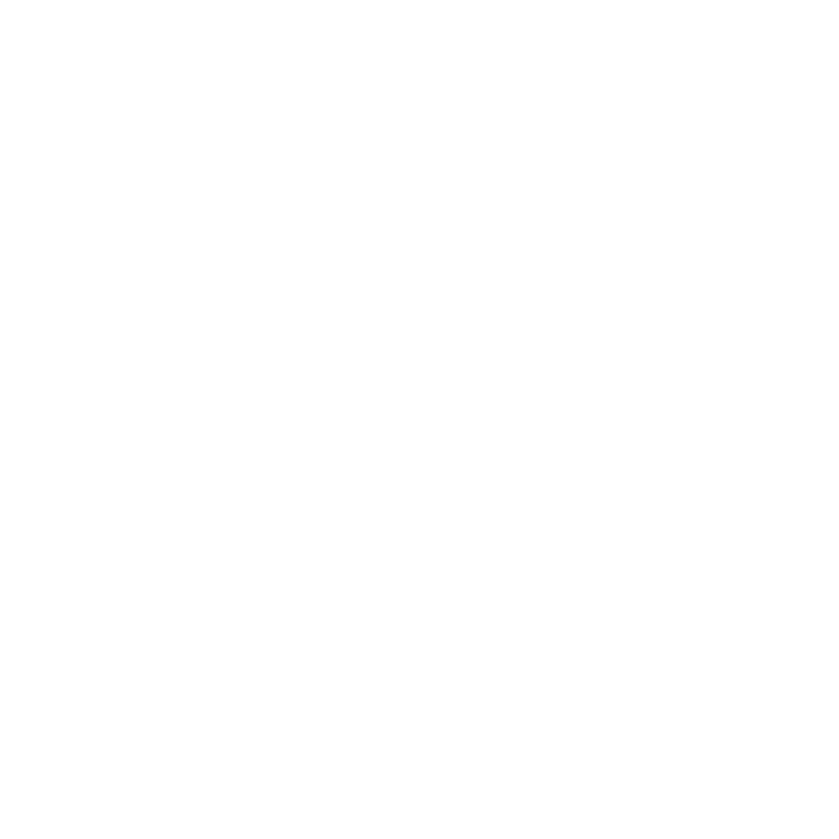 Houston Customs Broker White Square Logo
